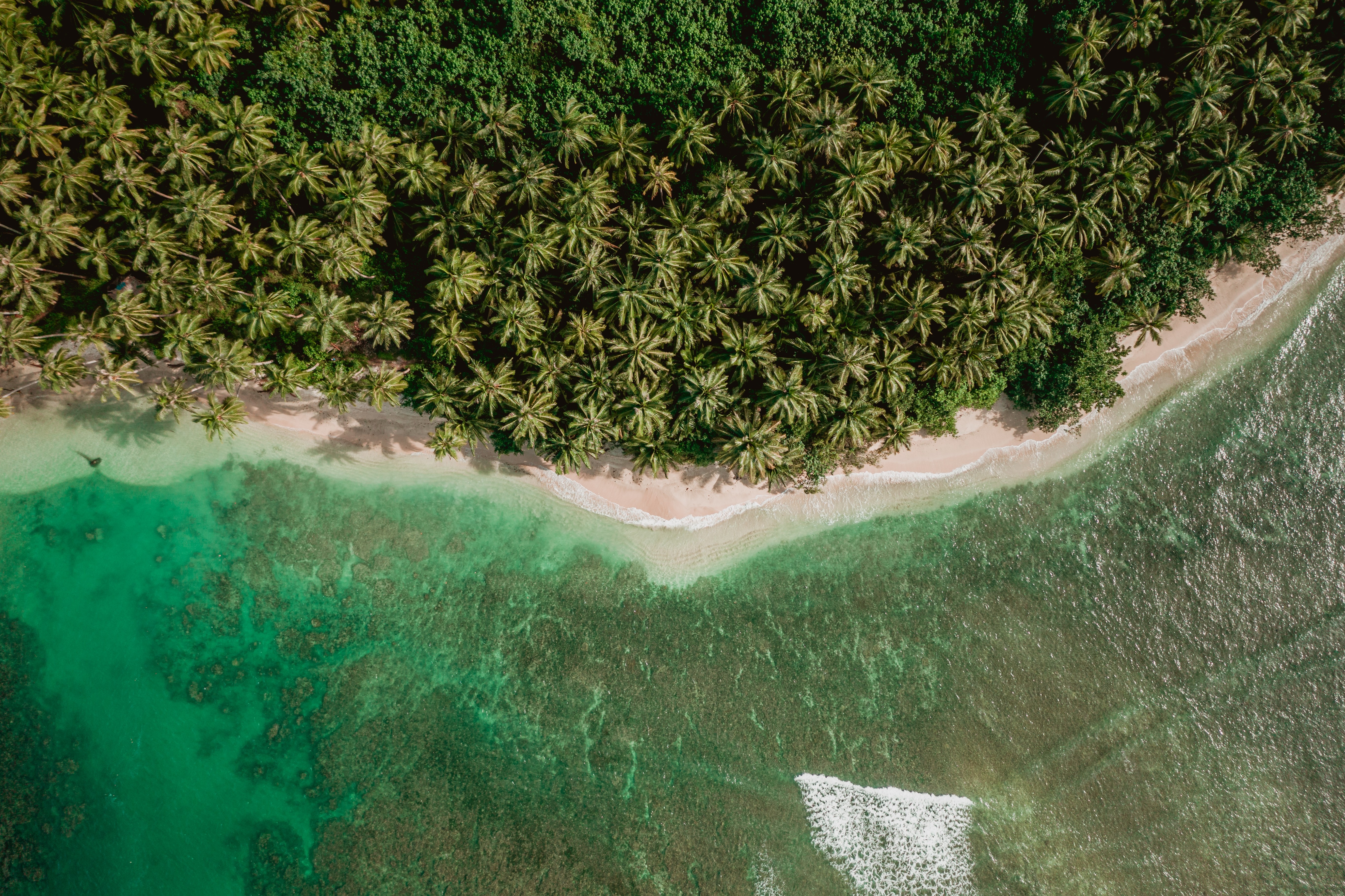Exposed rock strata on Vanua Levu, Fiji